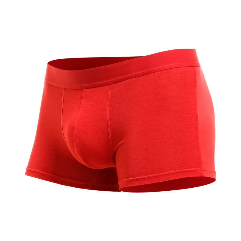 Herenondergoed, herenboxershor - Boxer Shorts Modal recensie en prijs